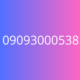 09093000538