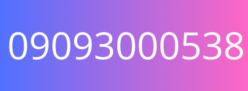 09093000538