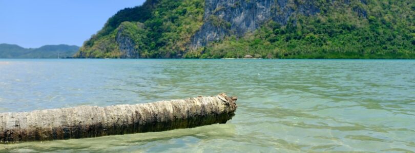 Met een e sim thailand altijd verbonden op reis