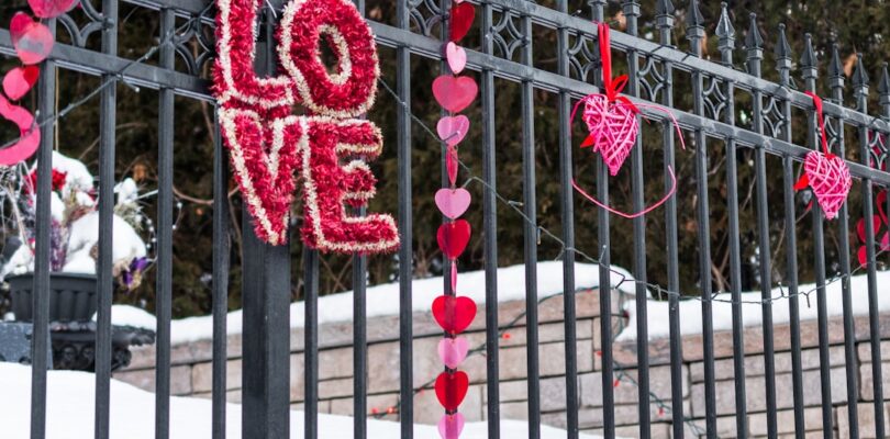 Liefde en voetbal in één: het verhaal van Vivianne Miedema en haar vriendin